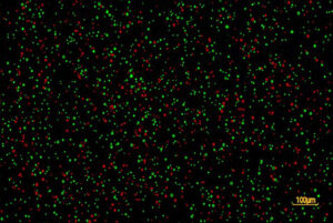 Countstar Mira FL Pro Cell Image 100um