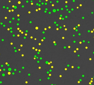Countstar Mira FL Pro Cell Image